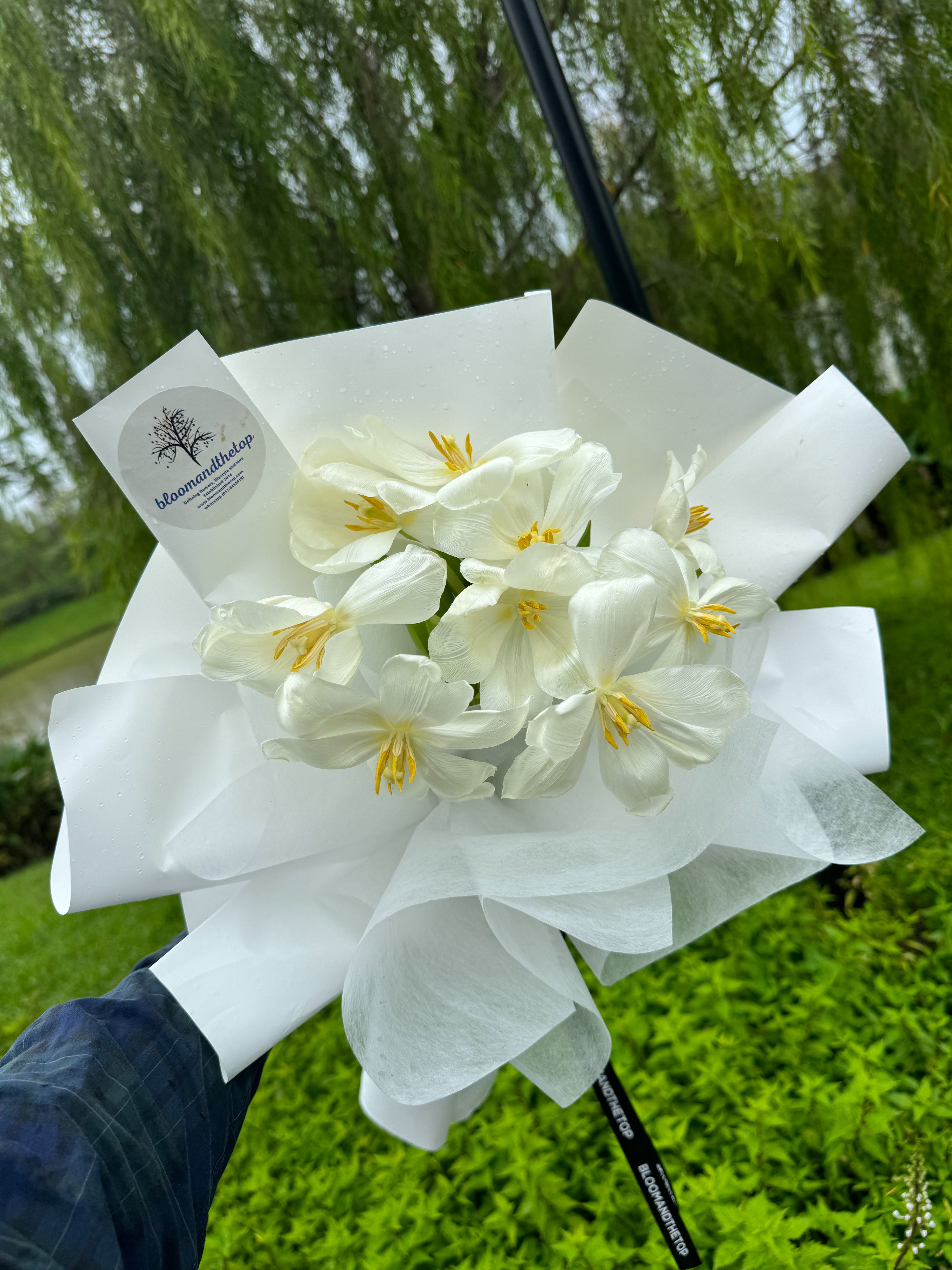 WHITE TULIPS