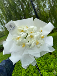 WHITE TULIPS