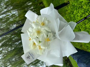 WHITE TULIPS