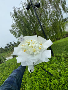 WHITE TULIPS