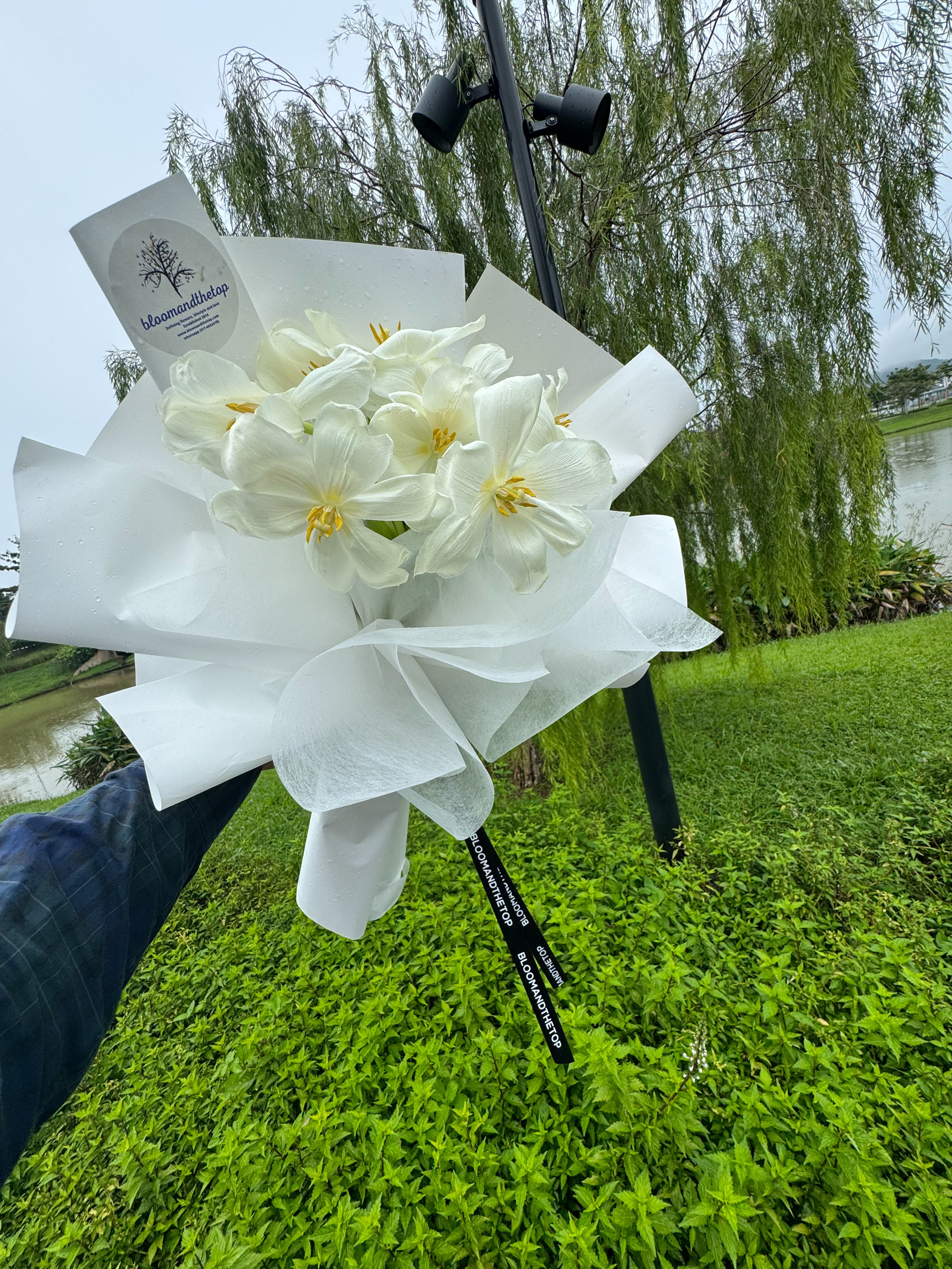 WHITE TULIPS