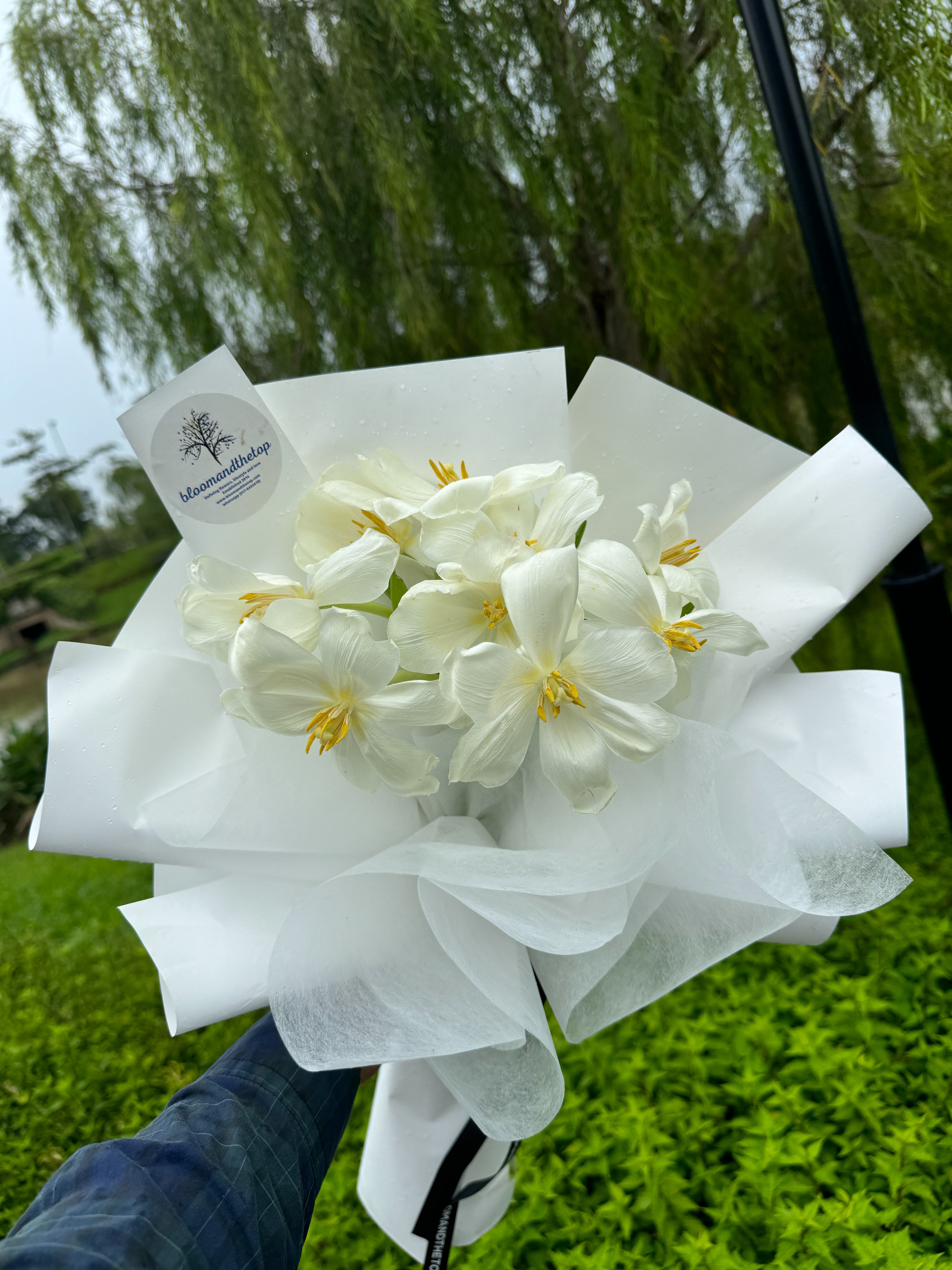 WHITE TULIPS