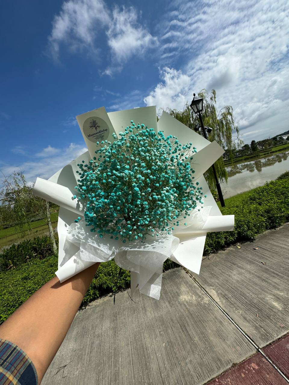BABY BLUE BABY'S BREATH