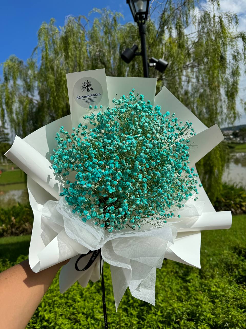 BABY BLUE BABY'S BREATH
