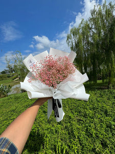 PINK BABY'S BREATH