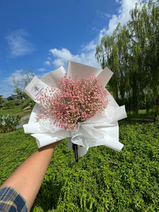 PINK BABY'S BREATH