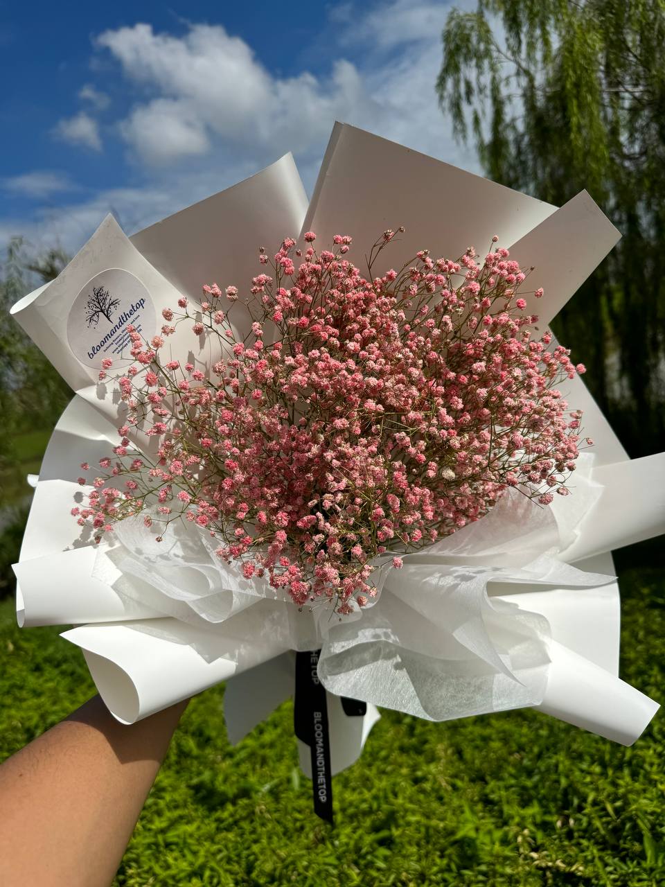 PINK BABY'S BREATH