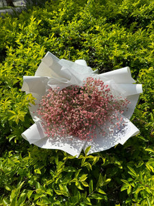 PINK BABY'S BREATH