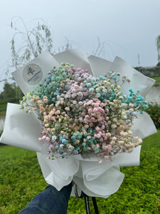 RAINBOW BABY'S BREATH