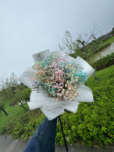 RAINBOW BABY'S BREATH