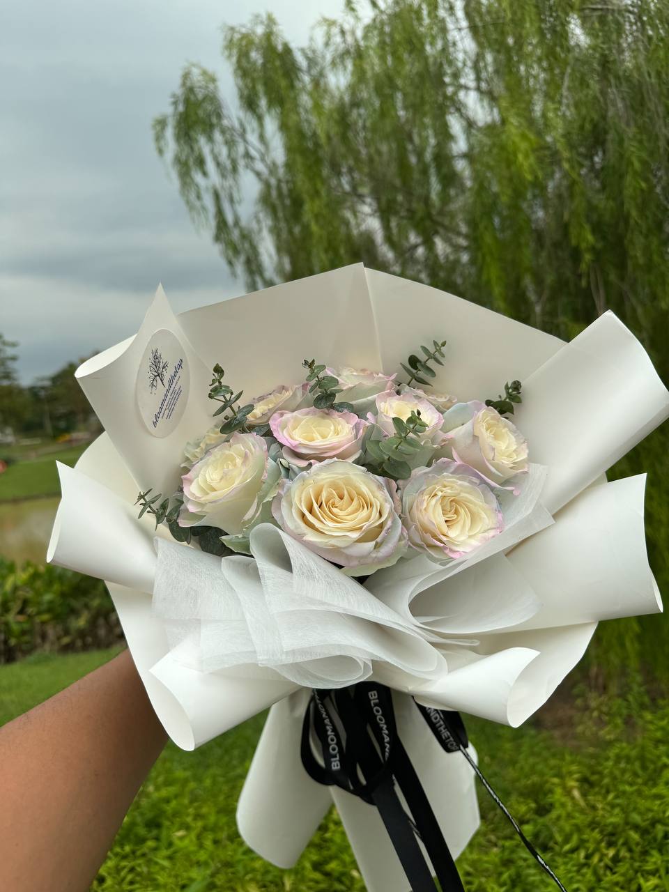 SWEET AURORA WITH EUCALYPTUS