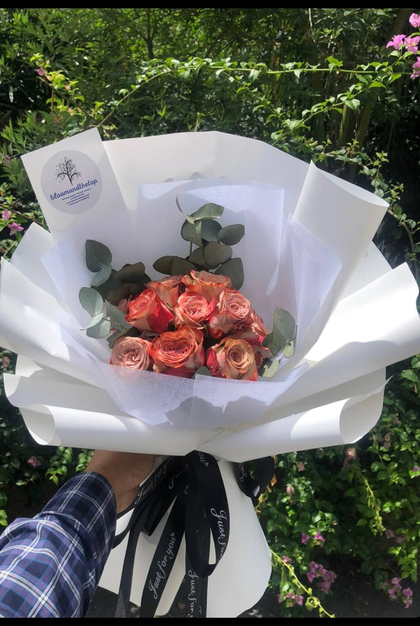 CAPPUCINO ROSES